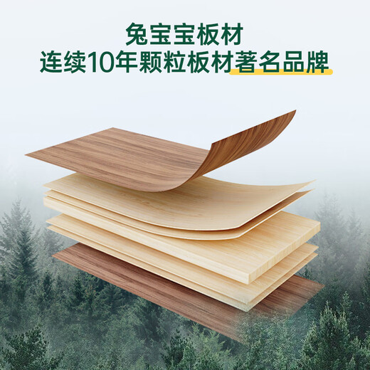 Bunny Easy Decoration Customized Full Space Customized Wardrobe Bedroom Modern Simple Overall Shoe Cabinet Door Solid Wood Core Overall Customization 22 Whole House Customized Cabinets (Solid Wood Multi-layer Board)