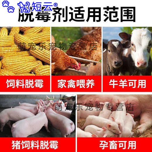 Duanyun Veterinary Mildew Remover for Sows, Cows and Sheep, Pregnant Livestock, Chickens, Ducks, Goose and Pigeons can be mixed with water and feed additives. 7 bags of mold remover and 10 bags of real hair.