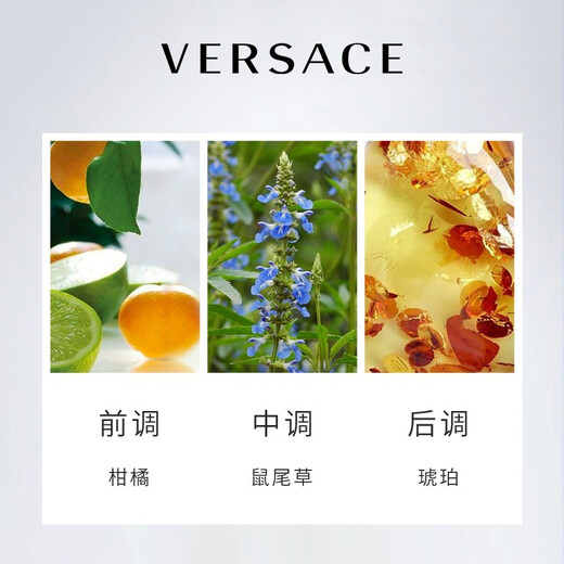 Versace (VERSACE) eponymous men's eau de toilette 100ml woody tone light luxury gift self-operated same style as Hou Minghao