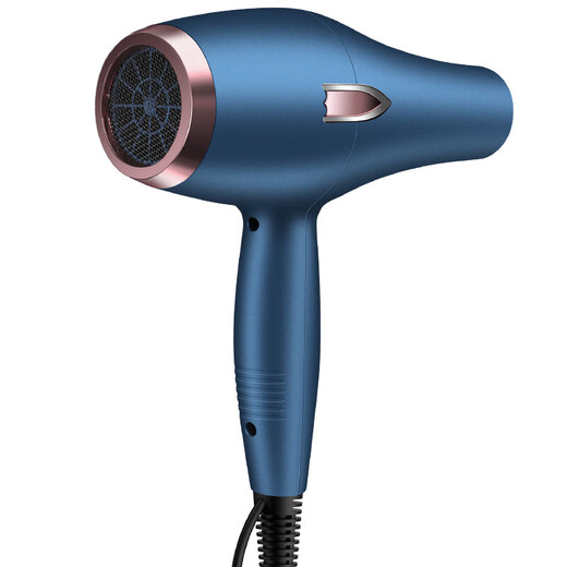 Philips (PHILIPS) same style German hair dryer for home use, hair salon, high power 2200w, barber shop negative ion hot and cold wind mute, German blue 18000 wind power, home use, free six years, 10 years