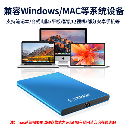 科硕（KESU） 移动硬盘USB3.0安全加密 2.5英寸高速笔记本电脑手机外接机械硬盘 尊贵金属-天蓝色+硬盘包 320GB