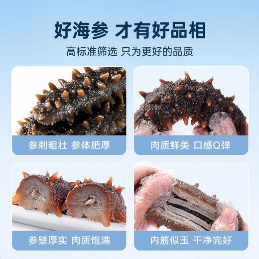 鲜京采大连即食海参2斤 16-20只 固形物超75%  京东自营 海鲜