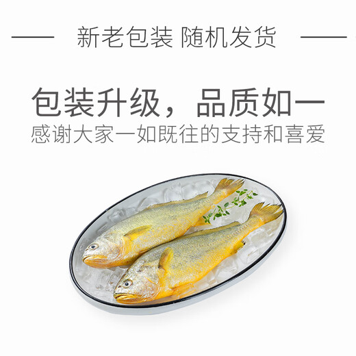 Member Store No. 1, Sam's Factory, Frozen Ningde Three-Degree Large Yellow Croaker, Yellow Croaker, Net Weight 700g/2 Pack, Aquatic Fish