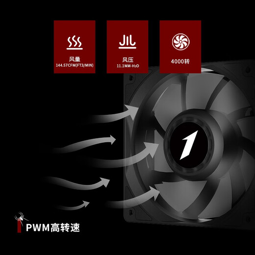 Chief Player (1st player)