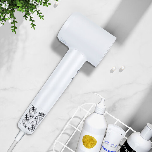 COTELL Kent high-speed hair dryer household high wind negative ion hair care low noise fast drying high power low radiation does not damage the hair hair dryer New Year gift recommendation GS-630H GS-630H classic black