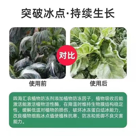 Imported plant antifreeze, antifreeze, melons, fruits and vegetable seedlings, cold protection, safe winter antifreeze, plant antifreeze, frost-free antifreeze 500g*5 bottles, cold and frost resistance + fertilizer to increase production
