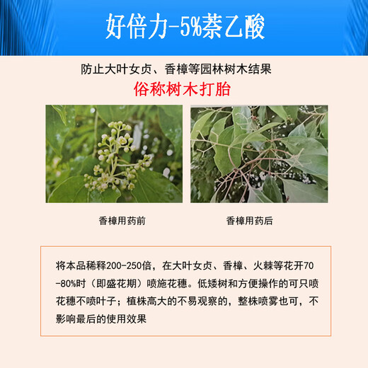 Senhuo Haobili 5% naphthalene acetic acid rooting agent garden tree transplanting watering rooting liquid camphor ligustrum seed control results