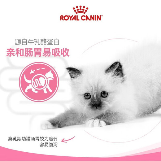 ROYAL CANIN Royal ROYALCANIN Weaning period infant period pregnancy canned milk cake wet food staple food can 195g/can canned mousse milk cake*24 cans ROYAL CANIN Royal ROYALCANIN Weaning period infant period pregnancy canned milk cake wet food staple food can 195g/can canned mousse milk cake*24 cans