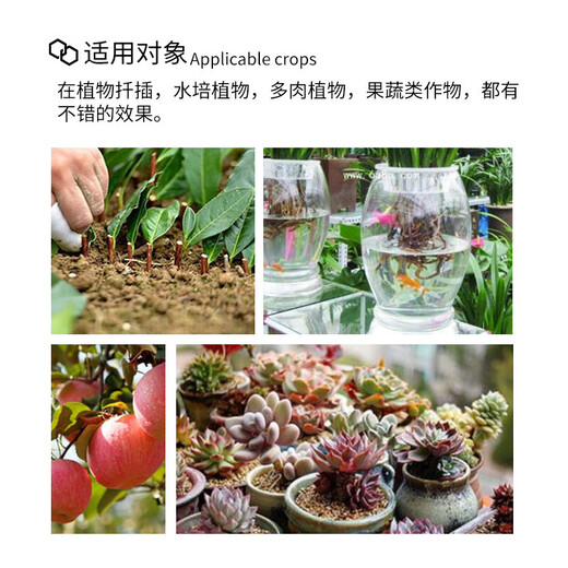 Guoguang Shenghe 20% Naphthalene Acetic Acid Succulent Rose Seedlings, Fruit Tree Cuttings, Transplanting Rooting Powder Plant Growth Regulator 5g*1 Bag