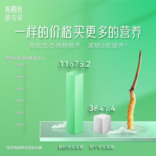 Dongyangguang Fresh Cordyceps Сахар Сахар Сахар Сахар Сахар Сахар.