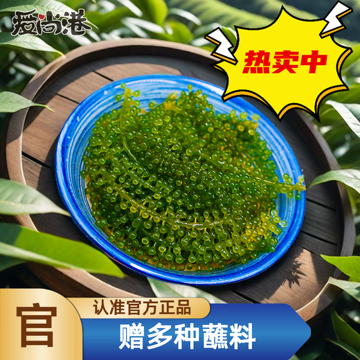 盐渍海葡萄泡发食用 儿童海藻菜海洋蔬菜海草 海葡萄100g*10袋【送芥末酱油】