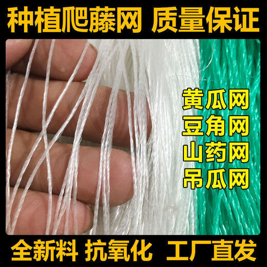 Qinkai Cucumber, Bitter Melon, Luffa, Hanging Melon, Bean, Passion Fruit and Yam Net, Plant Climbing Net, Climbing Planting Agricultural Net, 8*100 meters, 12 holes, 30 passion fruit