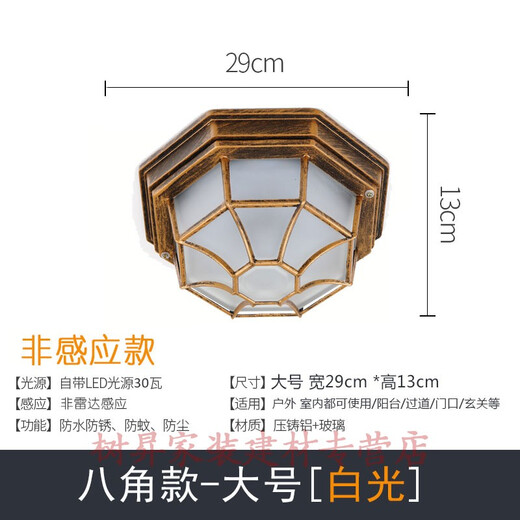 Luz de entrada de villa puerta luz de techo al aire libre luz de balcón impermeable entrada pasillo al aire libre americano pasillo sensor luz luz octogonal LED mejorado bronce grande 30WLED luz blanca