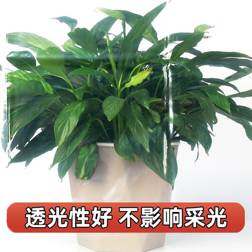 Hui Xinze customized window windproof film thickened window sealing plastic film windproof film dust-proof light-transmitting cold-proof cloth wind-leakage to keep warm in winter