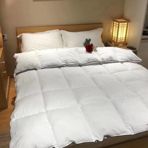 Down quilt 95 white goose down winter quilt thickened and warm student dormitory winter style spring and autumn quilt hotel antibacterial white 180x220cm8Jin Jin equals 0.5kg winter quilt