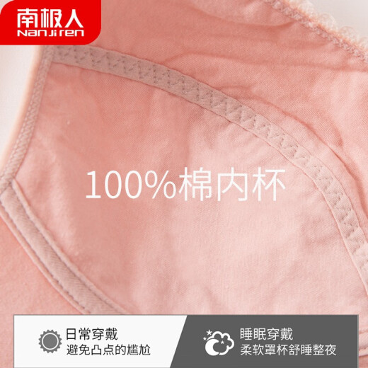 Antarctic middle-aged and elderly women's bra women's underwear without rims front button cotton bra large size mother's vest style push-up bra pink 2XL175/100