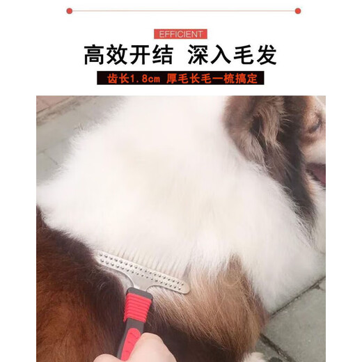 Spring koi and autumn carp dog comb thick hair comb pet comb double row comb large dog hair comb golden retriever Satsuma comb needle comb nail rake comb * red