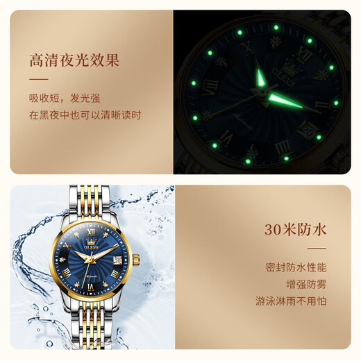 欧利时（OLEVS）瑞士认证品牌手表女简约气质女士手表夜光防水女表全自动机械表 OLEVS-6630女-钢带间蓝