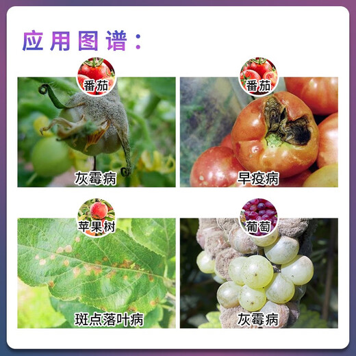 Fumei Shipu hyacinide iprodione tomato apple grape early blight spotted leaf disease gray mold fungicide pesticide 1L