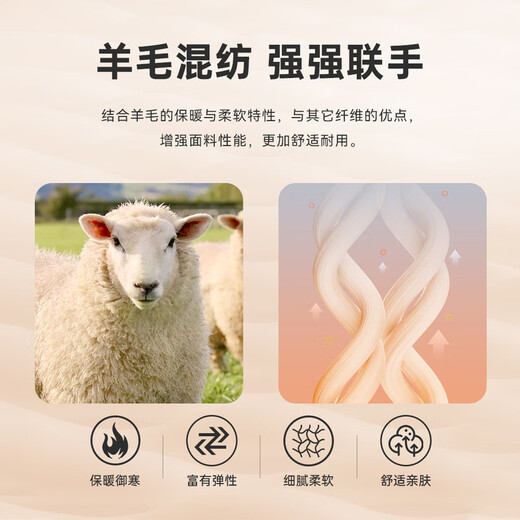 Raidy Boer/雷迪波尔【羊毛呢】偏厚老花图立领夹克外套男4017-79 黑花 170/48/M