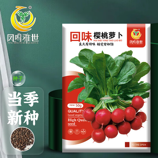 Fengming Yashi cherry radish seeds four seasons vegetable seeds balcony potted field planting aftertaste cherry radish seeds 10g