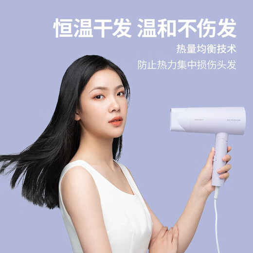 FLYCO high-speed hair dryer household negative ion constant temperature hair care high wind speed drying bass portable hair dryer for dormitory students negative ion hair care FH6277 1800W high power