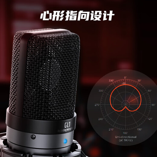 TAKSTAR GL1 condenser microphone computer recording mobile phone live broadcast external sound card equipment set GL1 + large cantilever bracket + pop-up cover