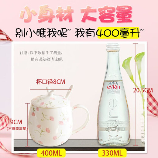 Houhai Cup Ceramic Cup Women's Mug with Lid and Spoon Household Drinking Cup Bone China Breakfast Cup Coffee Cup Girly Heart Fat Cup - Small Floral 400ML Microwaveable