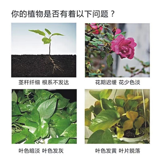 Yuntianhua Phosphate Fertilizer Granules Superphosphate General Flowering Fertilizer Household Fruit Tree Vegetable Green Plant Compound Fertilizer 100 Jin Jin equals 0.5 kg Phosphate fertilizer (high concentration) 20 Jin Jin equals 0.5 kg