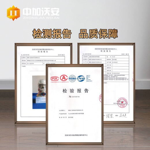 Zhongjia Woan fire mask, smoke mask, household TZL30 filtering self-rescue respirator, fire escape, anti-virus full face mask, household luxury package