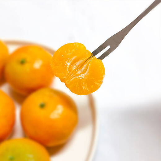 Golden Autumn Tangerine 450g directly harvested from the place of production