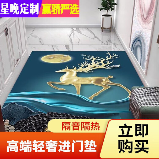 Xingwan high-end light luxury door mat living room mat door non-slip foot mat bedroom coffee table mat study simple mat can be customized New picture-1 200 width X 250 length (cm)