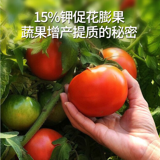 Basserman Wei chemical fertilizer, compound fertilizer, pesticide, vegetable compound fertilizer, nitrogen, phosphorus and potassium compound fertilizer, general potted vegetable and flower fertilizer 2Jin Jin is equal to 0.5 kg