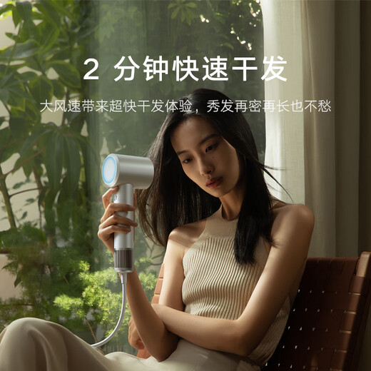 Mijia High Speed Hair Dryer H501 Xiaomi Official Flagship Store Negative Ion Hair Dryer National Subsidy Home Hair Dryer Recommended as a Birthday Gift for Girlfriend Morino Green