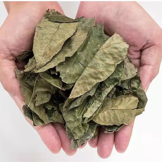 Jiangxi xiushui wild authentisch qingqian Liuyuan Blatt Tee Control Zucker Qingqian Liujin Liu Chinesische Kräutermedizin Gesundheit Tee 500-jährige alte Baum Qingqian Liuyuan Blatt 2000 Gramm Authentische Wild Xiushui Qingqian Liuyuan Leaf Blatt