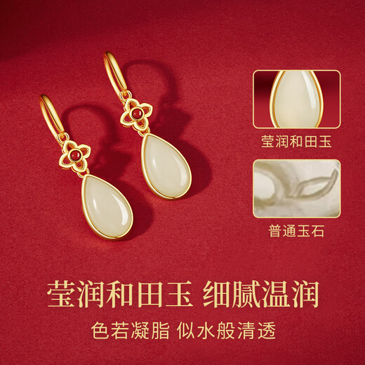 Zhen Shang Silver Chinese Gold Silver Earrings Women's Earrings Ring Light Luxurious High-end Birthday Gift for Girlfriend Wife Mom S925