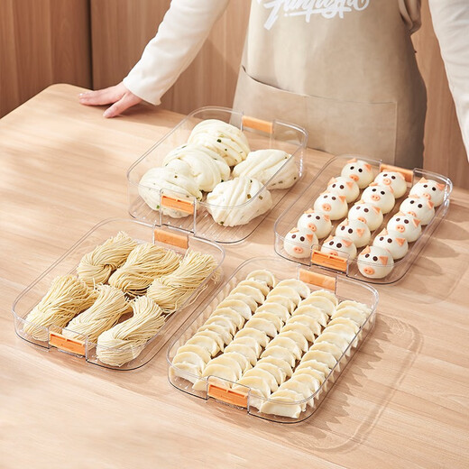 Longstar Dumpling Box Refrigerator Storage Box Rectangular Frozen Dumpling Box Quick Frozen Food Wonton Blunt with Cover Handle Can Hold About 120 Pieces Two Layers and One Cover