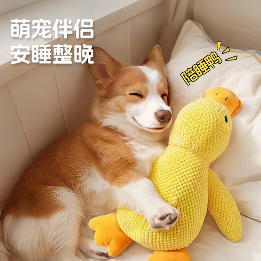 Zigman pet dog toy for dogs to play by themselves to relieve boredom and pleasure, resistant to chewing, grinding teeth and making sounds for puppies and puppies, dog walking and amusing tool