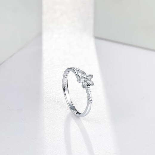 Saturday Fortune PT950 Fashionable Platinum Ring Women's Love Birthday Gift PT013140 No. 12 About 2.92g