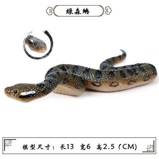 毅彩仿真动物整蛊玩具万圣节蜘蛛网昆虫蜘蛛沙盘场景摆件科教模型 M681绿森蚺