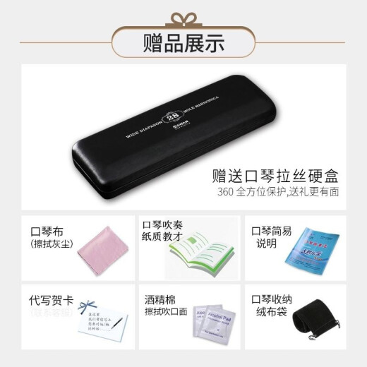 天鹅德国进口音簧28孔复音口琴高端成人重音送礼品专业演奏级乐器 黑色重音C调