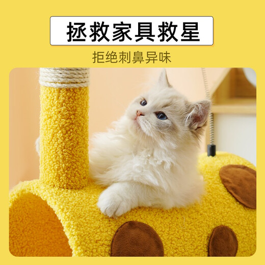 Fandu pet house cat climbing frame cat nest integrated cat jumping platform small yellow deer cat tunnel pet paradise cat toy
