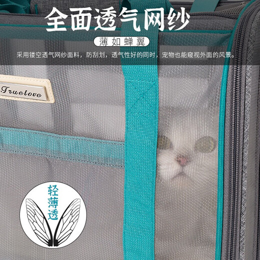 TRUELOVE宠物猫咪包外出便携背包太空舱双肩书包斜挎大容量透气网格四季用 灰色 S(长37.5宽26.5高21.5 )