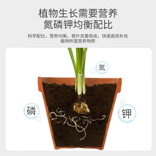 Manlife plant nutrient solution 600ml*2 universal green plant green dill flowers hydroponic flowers potted flower fertilizer bird of paradise