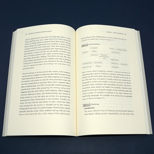 Wie man englisches Schreiben beibringt (English Teacher Professional Competence Series)