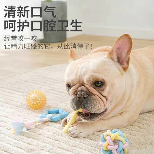 Cute Star Pet Dog Toy Teeth Cleaning and Bite Resistant Cotton Rope Ball Portable Ball Simulated Bone Frisbee Toy Set Five-piece Set