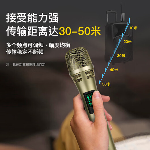 Ringing Wireless Microphone Handheld Microphone Outdoor Performance Singing Audio Amplifier Universal Anti-Howling U-section Hosting Conference Training Speech Trolley Speaker One-to-Two Wireless Microphone Rose Red
