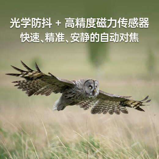 SIGMA 150-600mm F5-6.3 DG DN OS Sports full-frame mirrorless super telephoto zoom lens for bird shooting and lotus shooting (Sony mount)