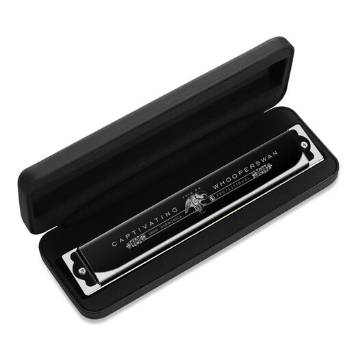 天鹅（SWAN）24孔复音口琴日本进口音簧高级专业演奏口琴C调（黑色）