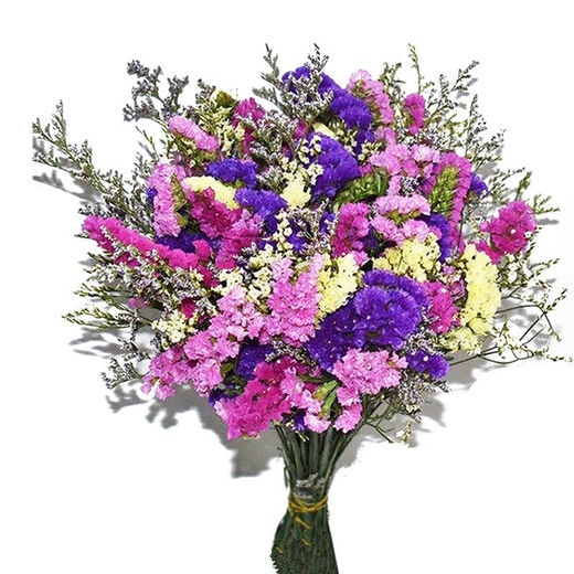AIMAN Yunnan Flowers Dried Flower Bouquet Forget-Me-Not Lover Grass Combination Starry Gypsophila Living Room Real Flower Arrangement Home Furnishings 4 Color Mix + Grass Approximately 30 Pieces Not Included in the Flower Basket